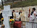 img_5696.jpg