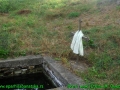 DSCN9784.JPG