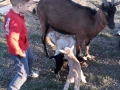 IMG-3bd942d9893455e431cbee2cb7f3e891-V