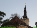 IMG_1201.jpg