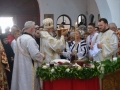 SRF_3465