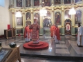 IMG_7549.JPG