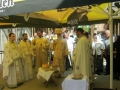 Picture 087
