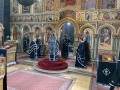 IMG-cb4ea9d6a9fc68c77d8ae7081b3b5f83-V